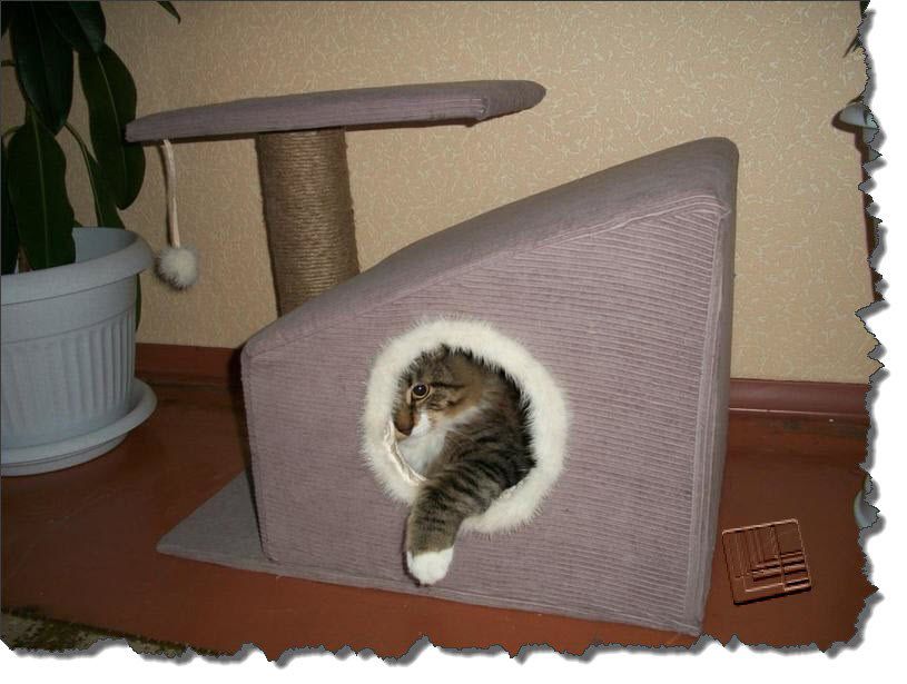 Котята. домики для котят своими руками