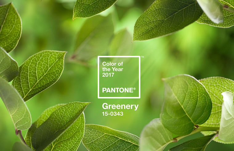 pantone pantone