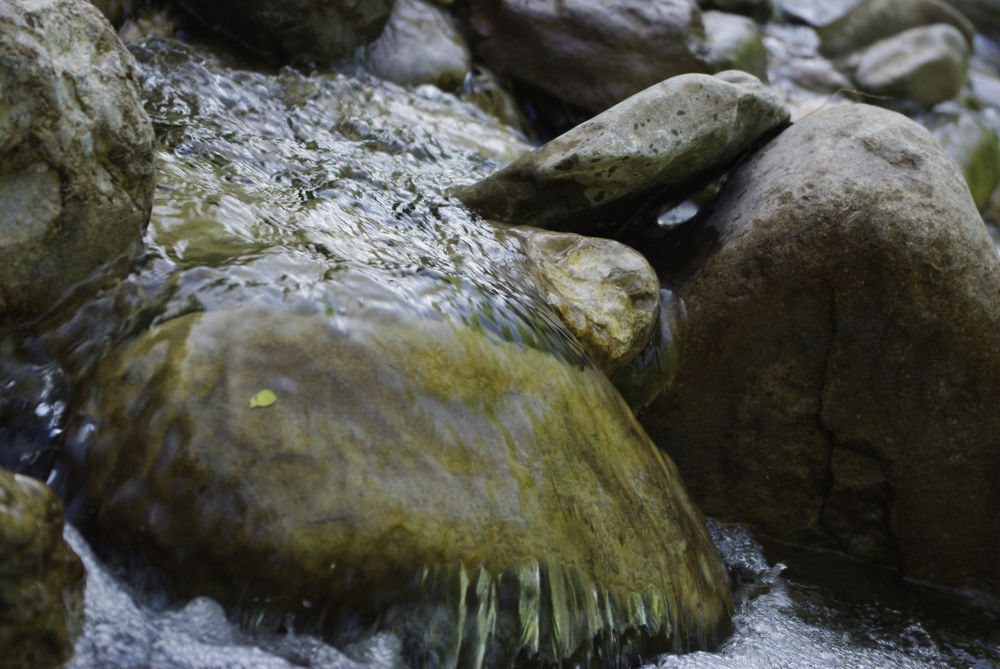 Урочище Поднависла. Часть 1. 