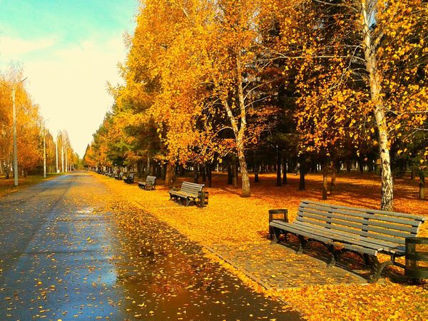Набор мастеров на аукцион