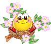 Picture background