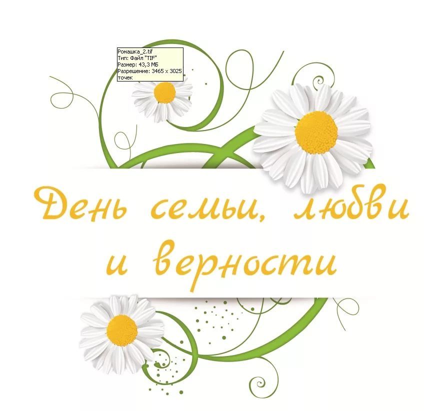 С днем семьи любви и верности минимализм. С днём семьи любви и верности. Открытки с днём семьи любви и верности. Надпись с днем семьи любви и верности. Ромашка день семьи.