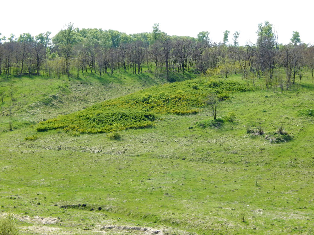 Цветущий край, Белгородчина., фото № 1