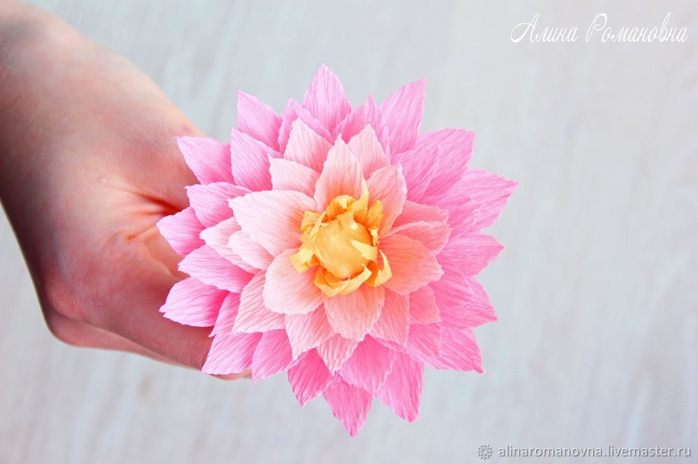 Цветок лотоса из салфеток - презентация онлайн