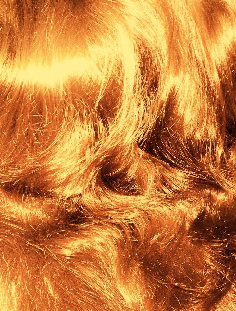 Выбираем оттенок рыжих волос: 50 идей с фото