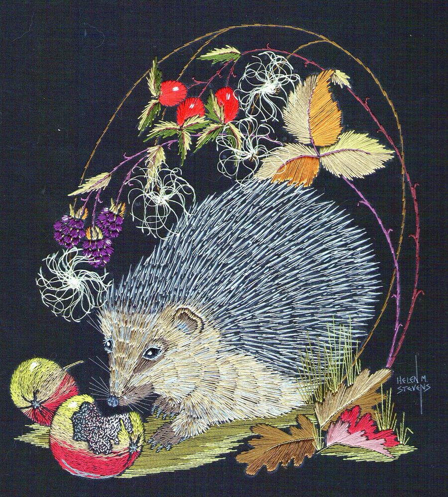 сова сова