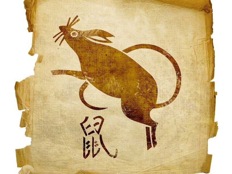 Год быка дракона. Крыса знак зодиака. Знак года крысы. Знак крысы на китайском. Крыса китайский Зодиак.