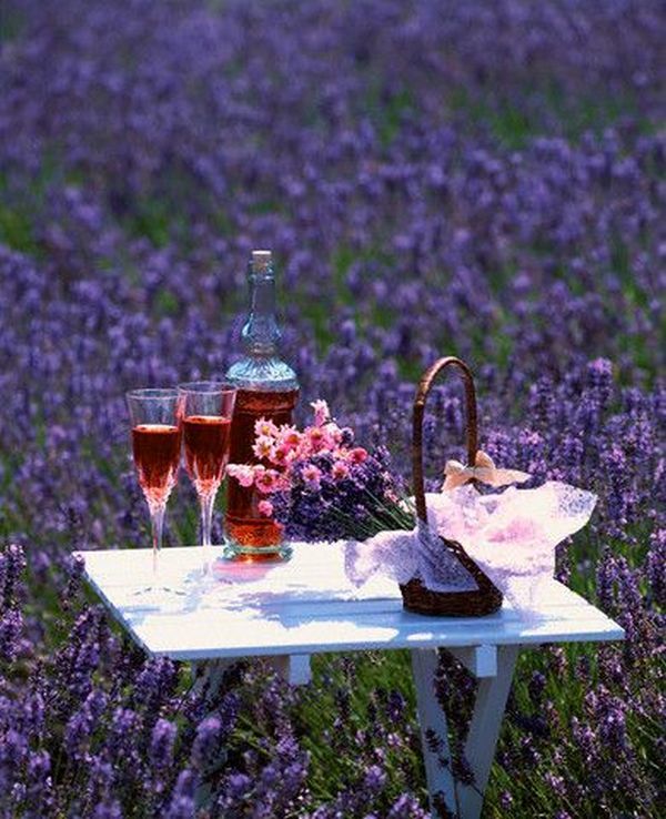 Дни в провансе. Лавандовый Прованс. Франция (Lavender, Provence France). Лаванда в саду. Пикник в лаванде. Пикник в лавандовом поле.