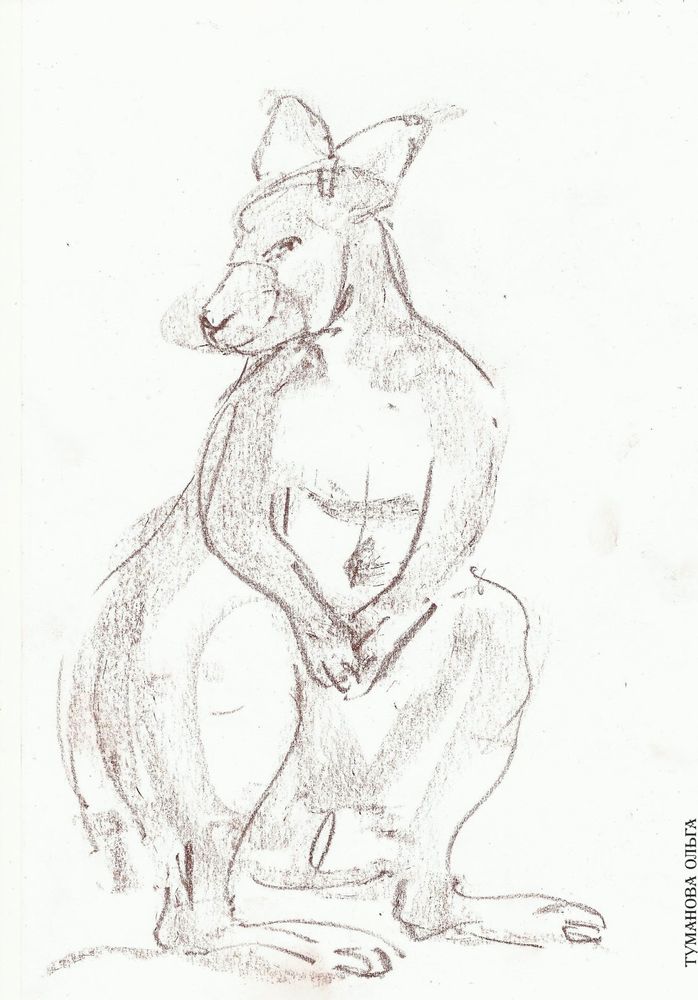 рисунки рисунки