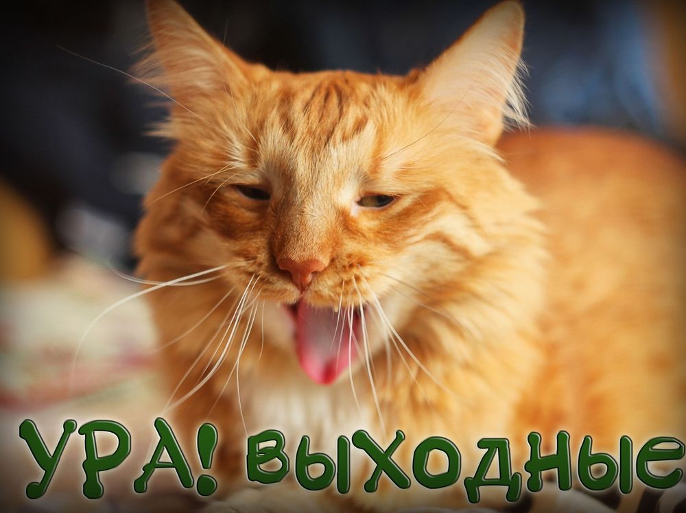 Впереди 2 выходных ура картинки