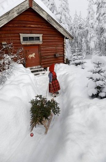 рождество в норвегииSweden. Falun is the name of a Swedish, deep red paint well known for its use on wooden cottages & barns. The paint originated from the copper mine at Falun in Dalarna, Sweden. The traditional color remains popular today due to its effectiveness in preserving wood. рождество в норвегии