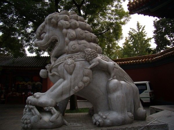 Китайский лев — Википедия