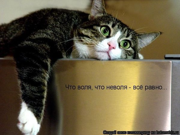 Понравилась статья