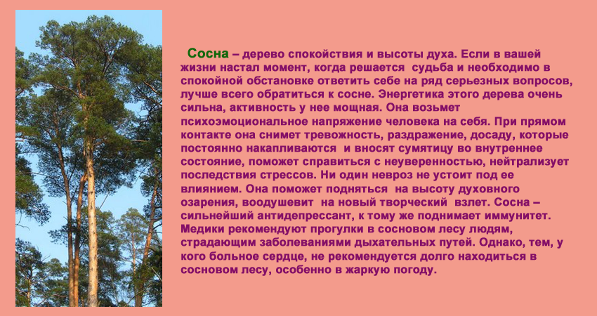 Панно Волшебное дерево в интернет-магазине Ярмарка Мастеров по цене 6700 ₽ - 5CG