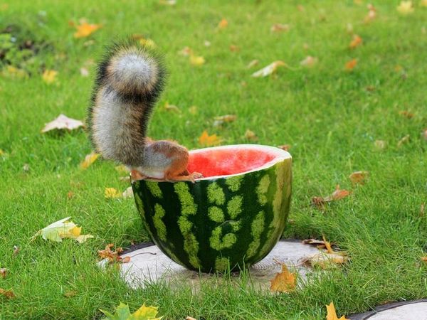 Аукцион