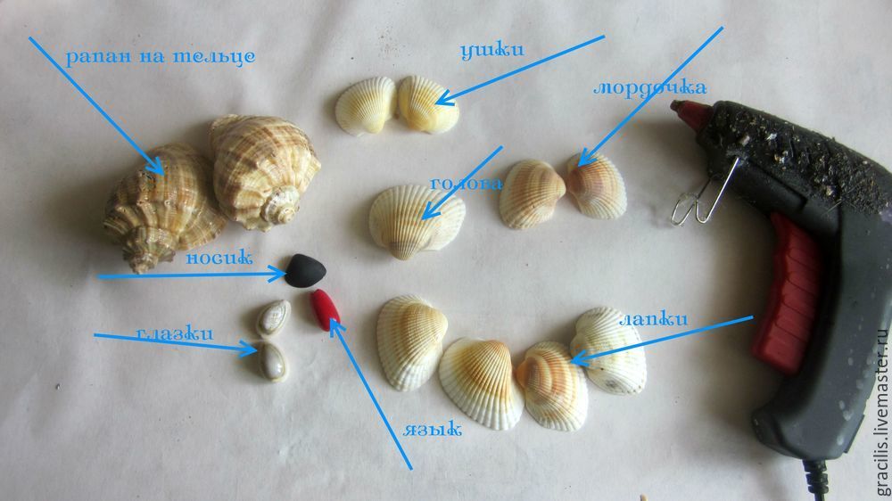 Поделки из ракушек своими руками