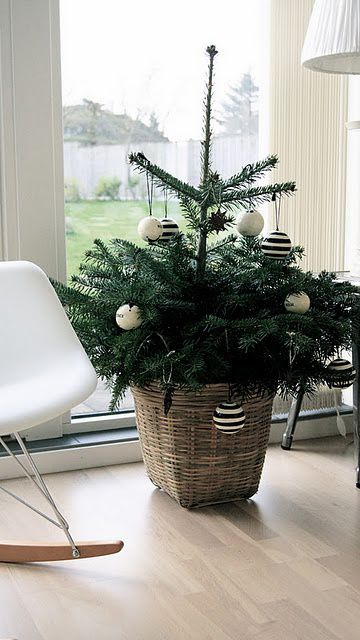 культура норвегииTree in a basket!! Great idea for bedroom, front stoop, kitchen, etc! Hmm, I'm doing this! культура норвегии