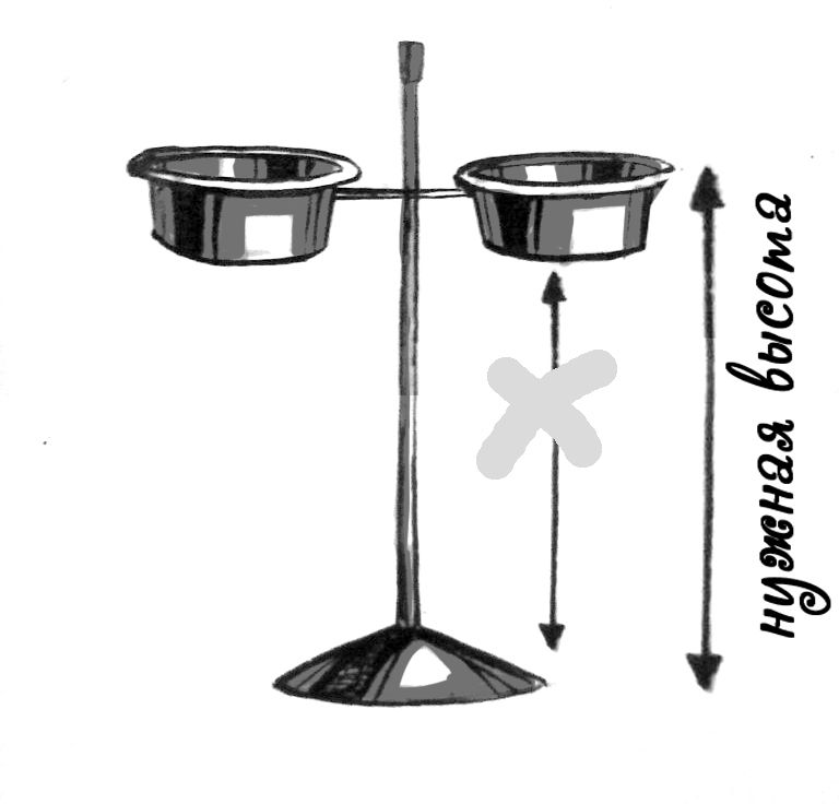Подставка для собак для кормления своими руками чертежи