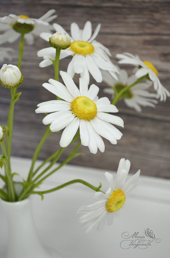 Объемные ромашки из бумаги. Мастер и ромашки. Объемные ромашки. Мастер и ромашки. Ромашка из фоамирана.