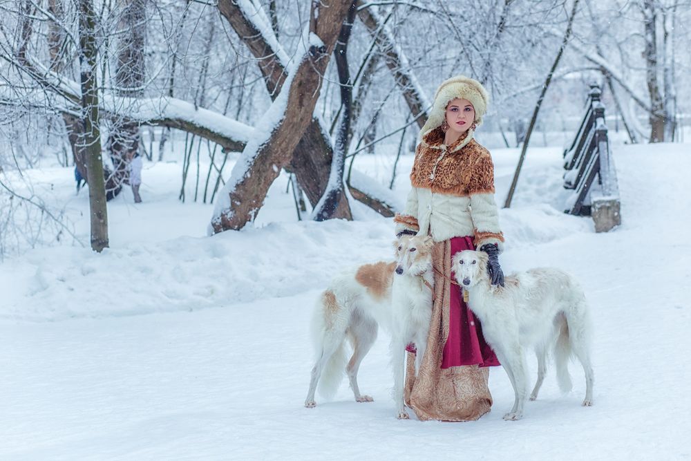 Фото с русскими борзыми