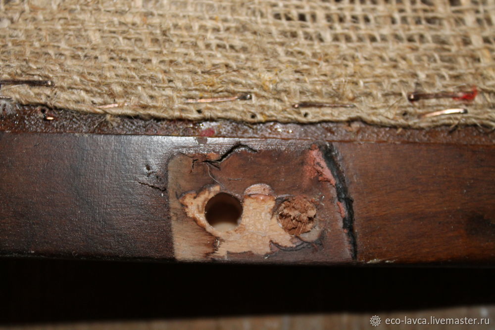 Druhý život. Restaurování starého křesla, foto č. 11