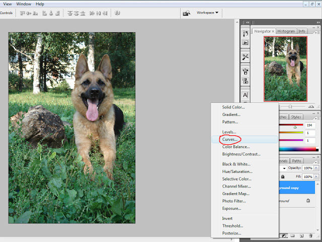 Как я обрабатываю изображения в Фотошопе, фото № 8
