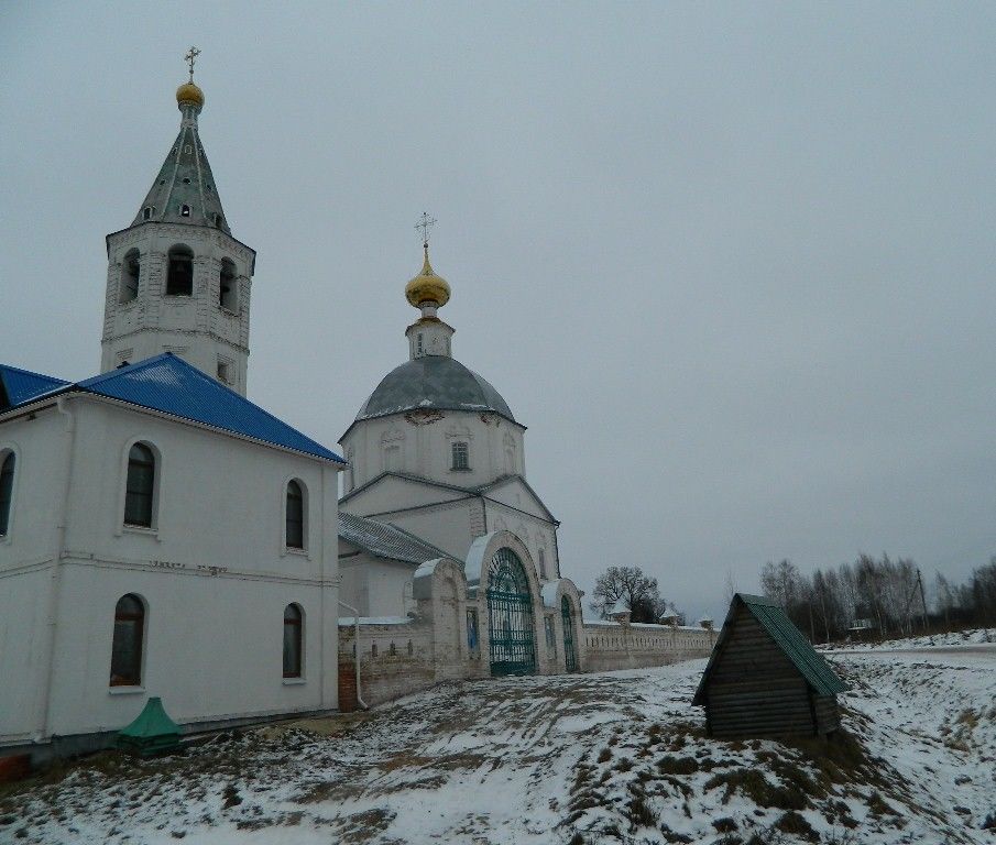 Село санино суздальский