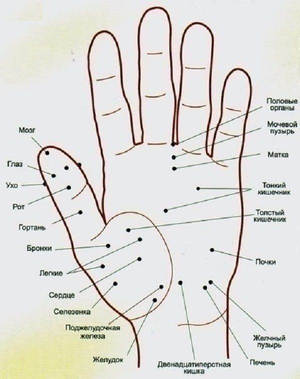 Точки на ладони отвечающие за внутренние органы фото с надписями