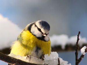 день рожденияподарок день рождения
