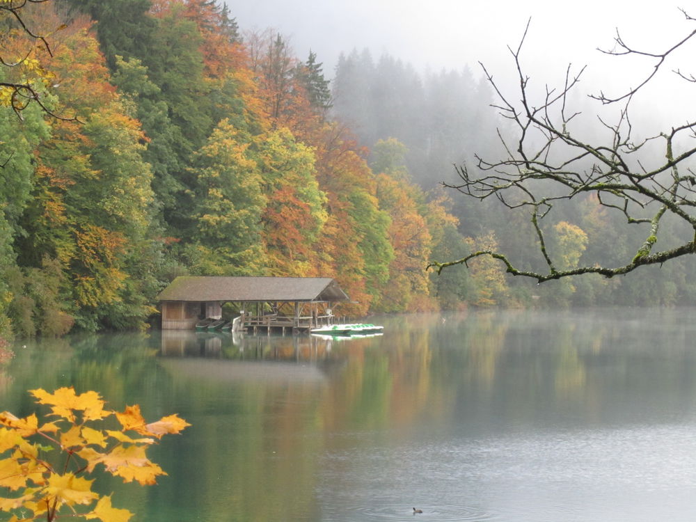 euschwanstein — сказочный замок Спящей красавицы, фото № 5