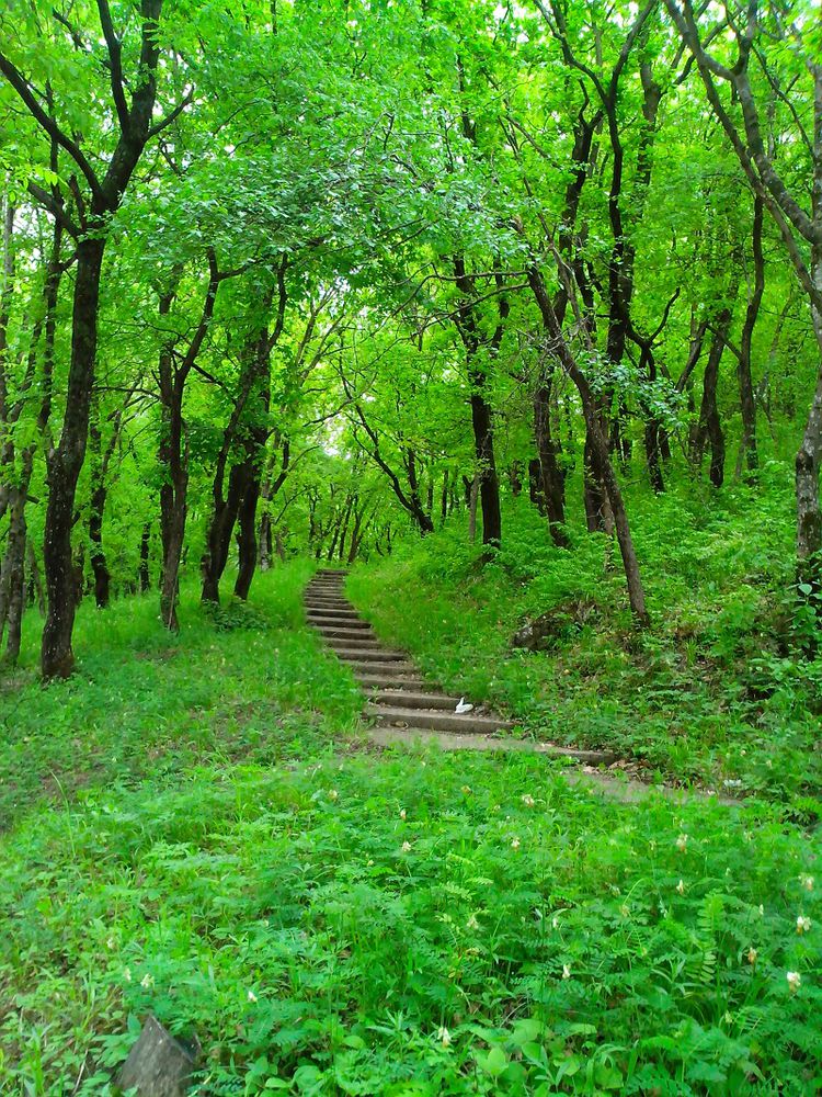 отдых пятигорск отдых пятигорск