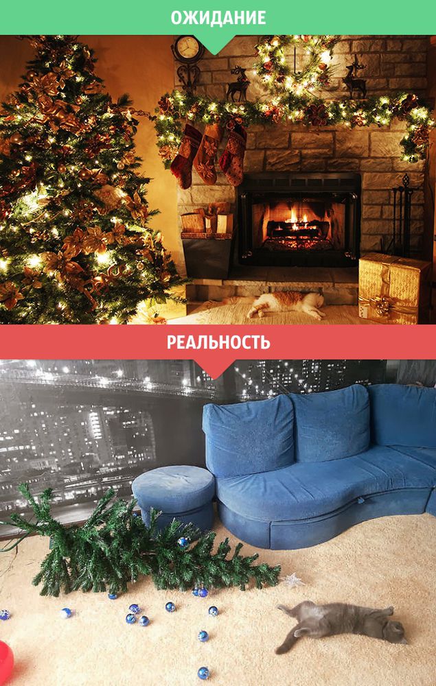 Актуально сегодня для ВК ))) Пикабу