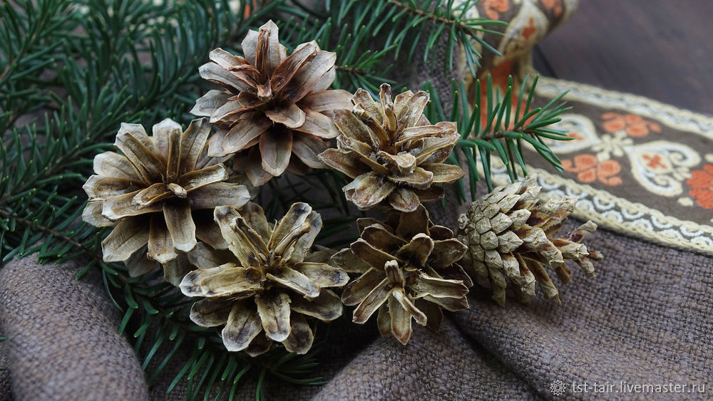 Ð±ÐµÐ»Ñ‹Ðµ ÑˆÐ¸ÑˆÐºÐ¸