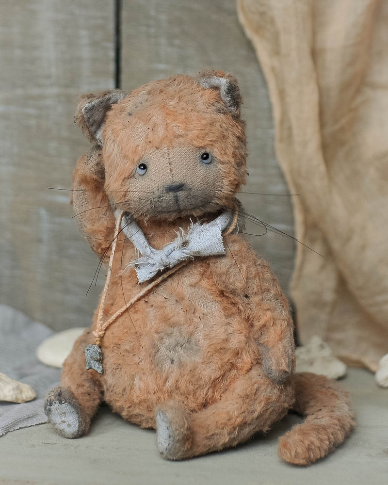 Кошка тедди