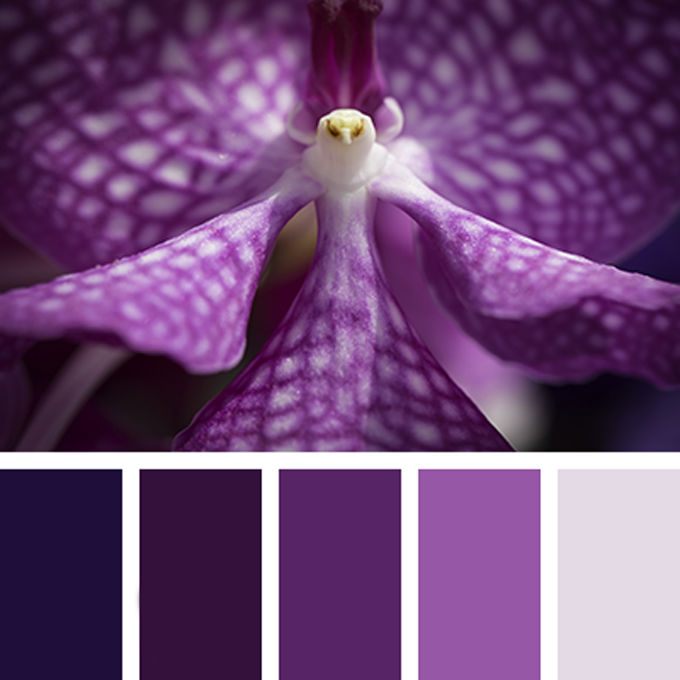 Вдохновение цветом: глубокий темно-фиолетовый | Журнал Ярмарки Мастеров
 Темно Фиолетовый Цвет
