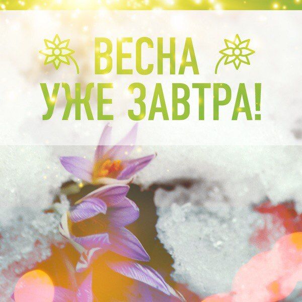Слоником, картинки 28 февраля с последним днем зимы