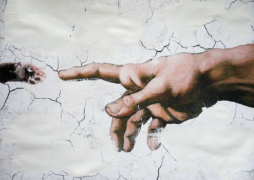 Сотворение кота картина