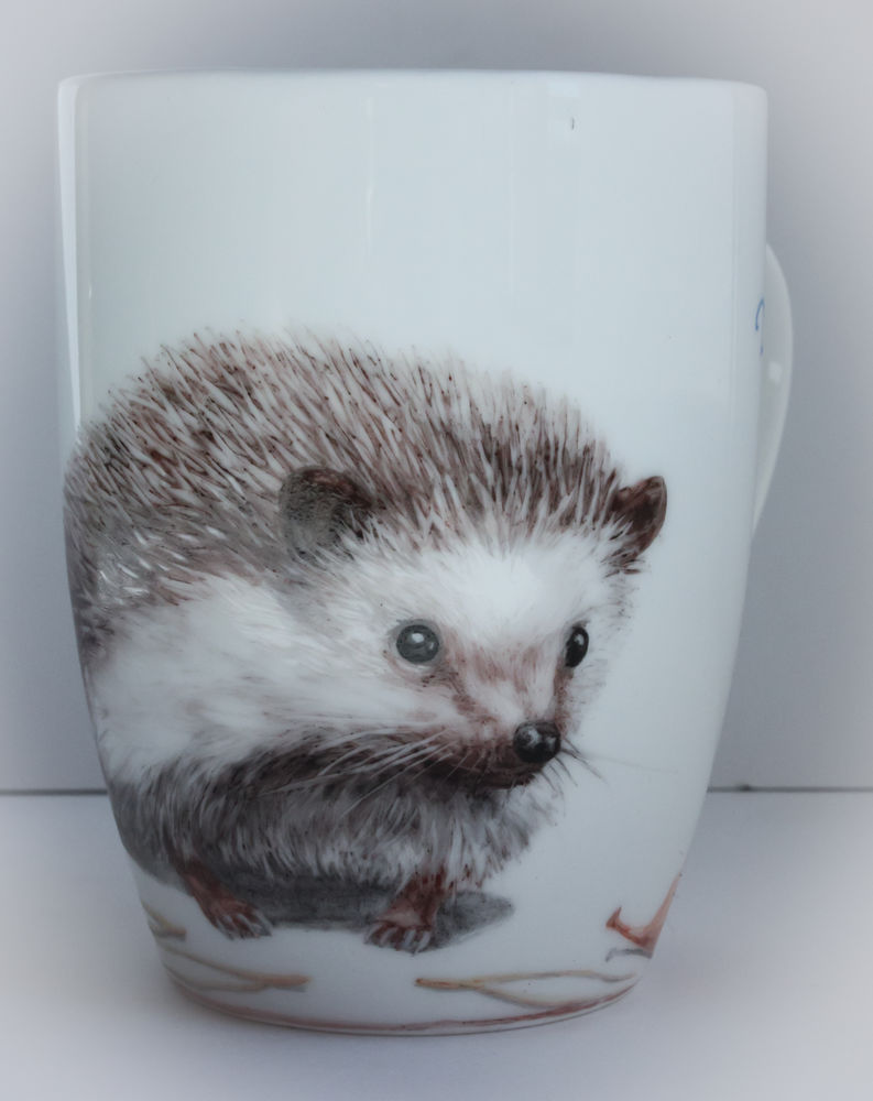 ежики ежики