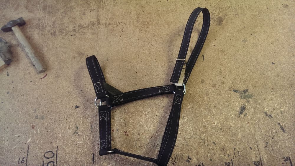 Взгляд изнутри шорник, фото № 7