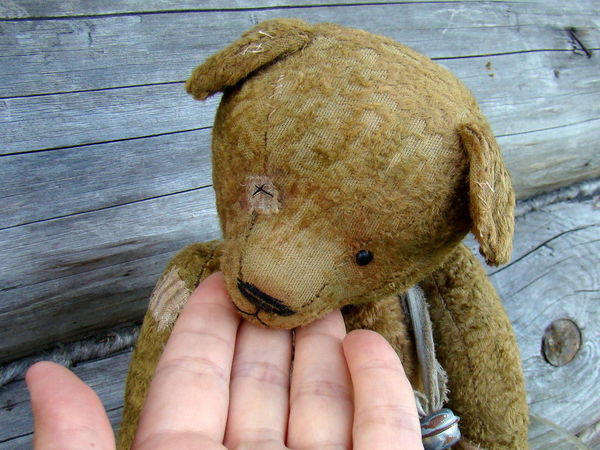 Teddy Bear