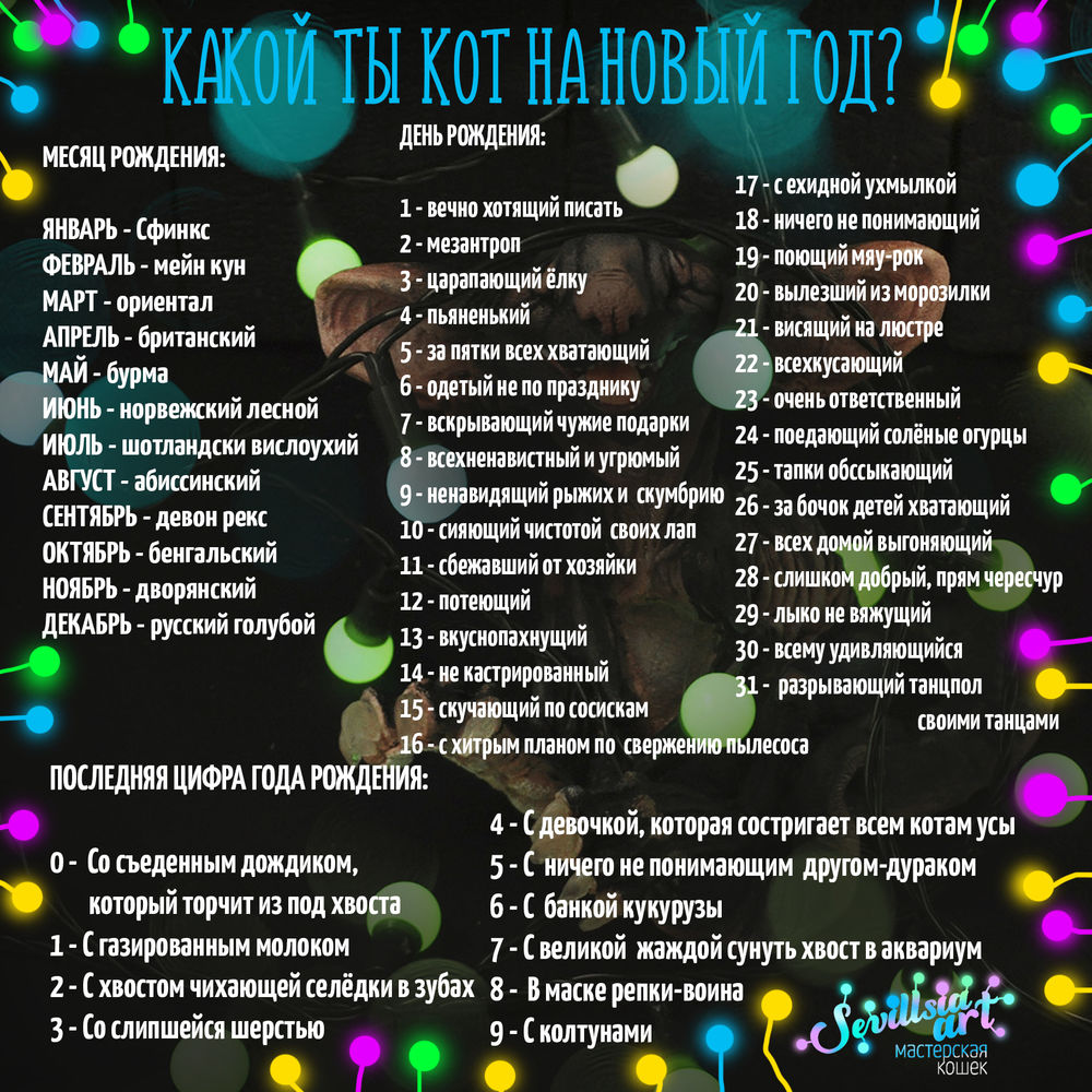 Какой ты кот приложение