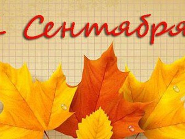 Скидка в первый день учебного года! | Ярмарка Мастеров - ручная работа, handmade