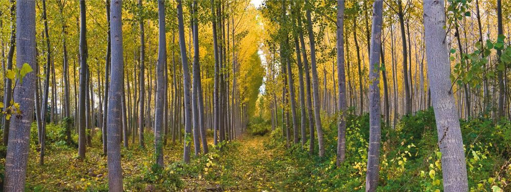 Přírodní ekotextilie do každého domova!, foto č. 3