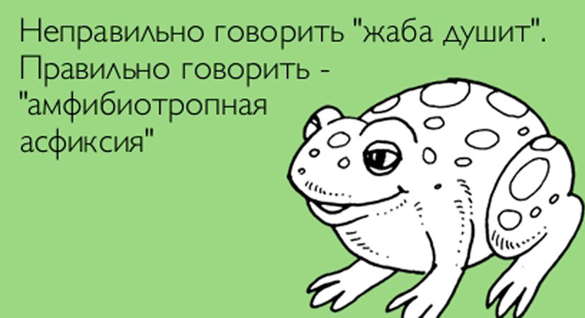 Открытки женись на мне, картинки прикольные открытки