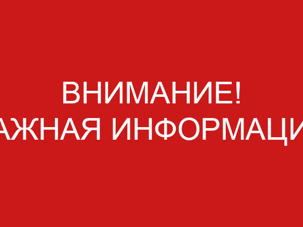 Внимание! | Ярмарка Мастеров - ручная работа, handmade