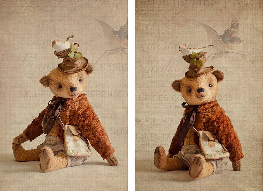 teddy teddy