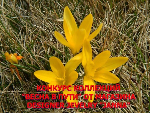 Конкурс коллекций