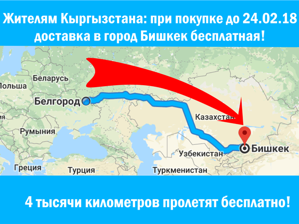 Бесплатная доставка в Бишкек до конца февраля | Ярмарка Мастеров - ручная работа, handmade