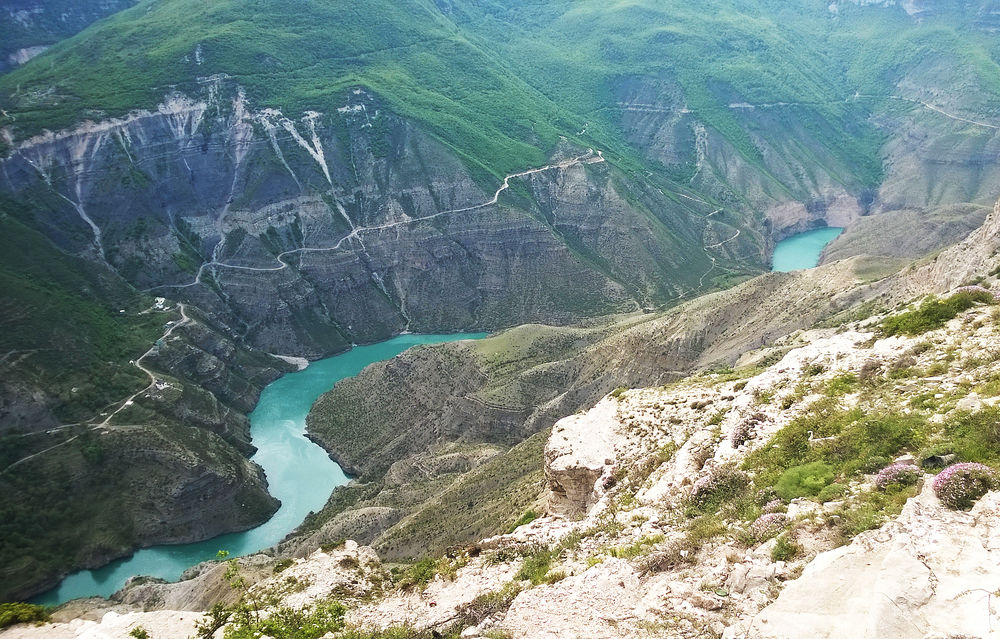 Маковое поле в дагестане фото