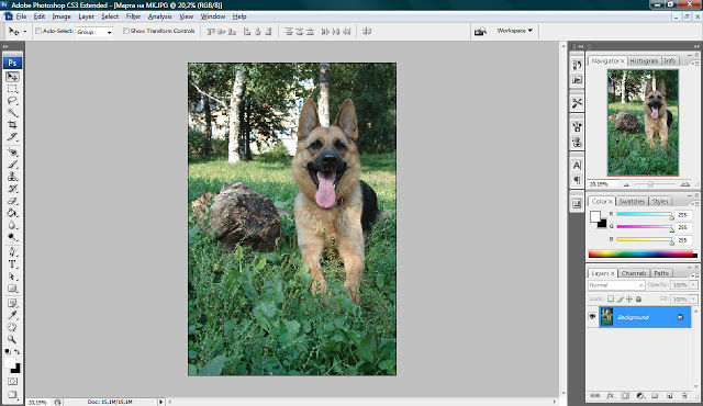 Как я обрабатываю изображения в Фотошопе, фото № 6